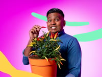 Devon chillies fire up new children's BBC series